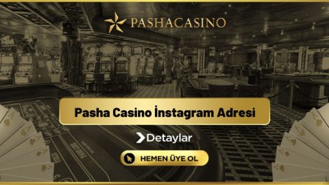 Pasha Casino İnstagram Adresi